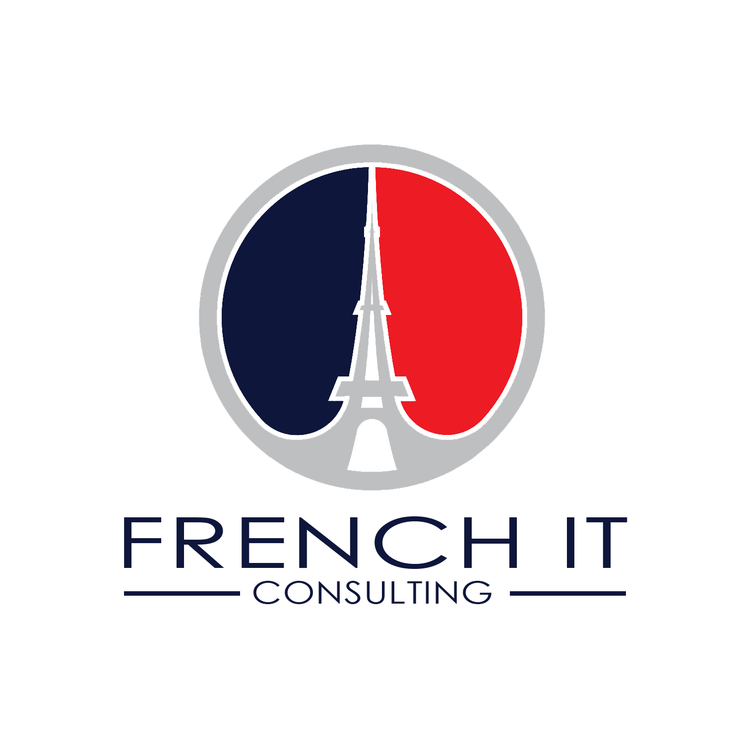 French IT Consulting