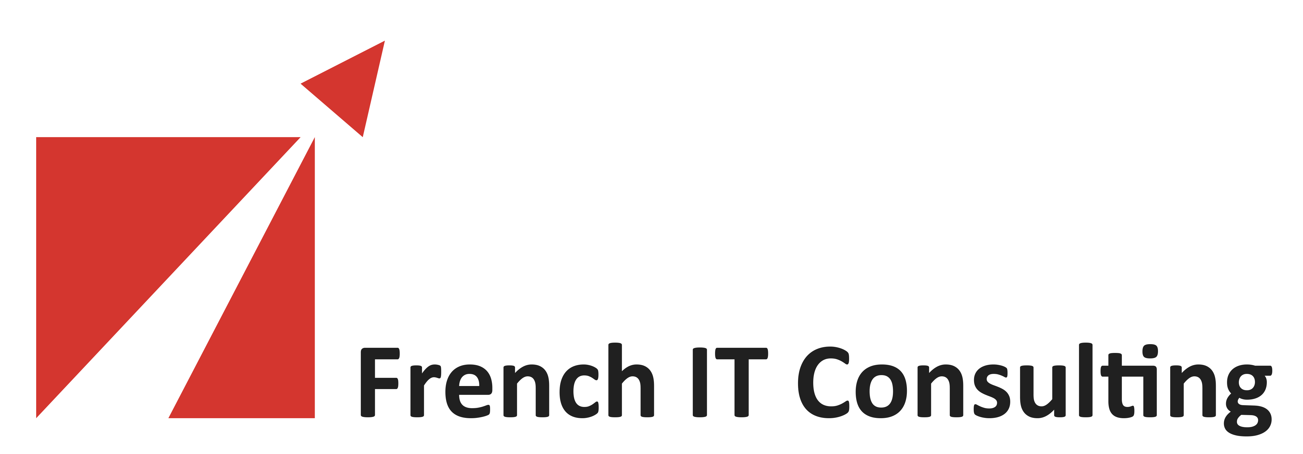 French IT Consulting